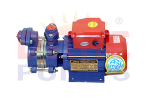 domestic-pumps manufacturer